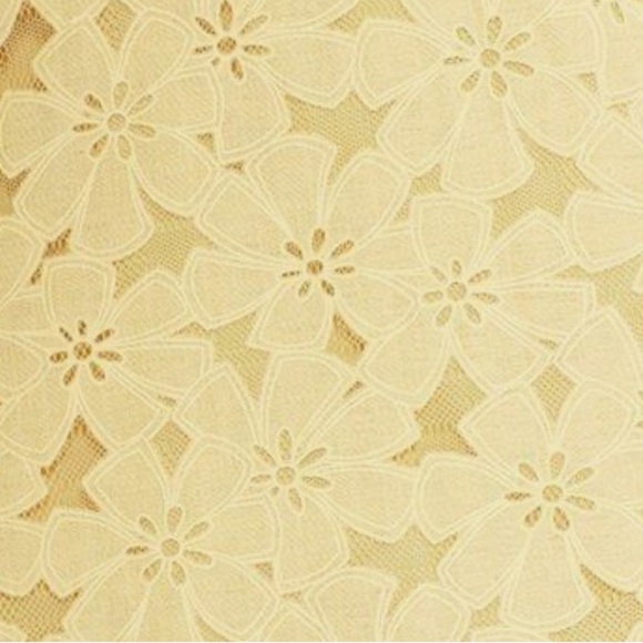 Maggy London Embroidered Cotton Blend Fit & Flare Dress - Picture 3 of 9